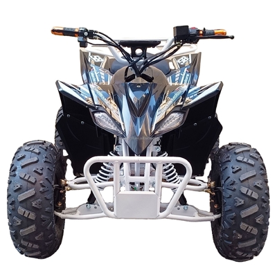 負荷容量 400-1000kg 便利な電気四輪自転車 800w ビーチ車両