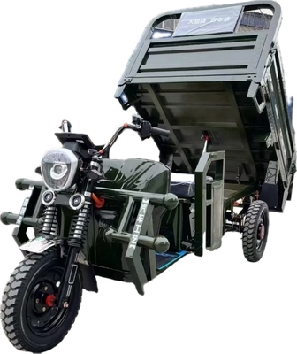 1000W 電動 三輪車 貨物 トラック 自動放電 3輪バイク 大人用