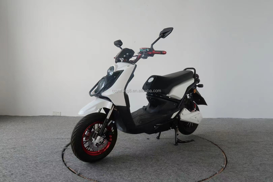 300W 500W 800W DCブラシレスモーター 電気バイク ディスクブレーキと10インチタイヤ