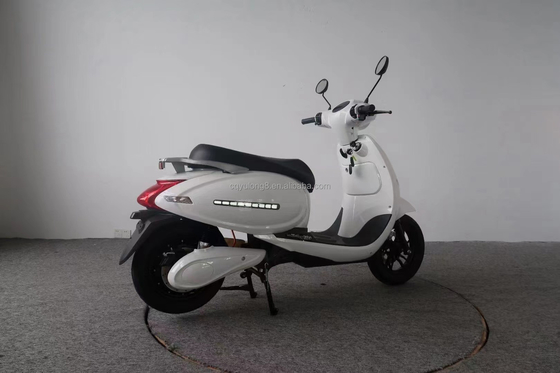 最大負荷 200kg スポーツ 高性能 800W 20AH 電動自転車/電動スクーター バイク ストリートバイク