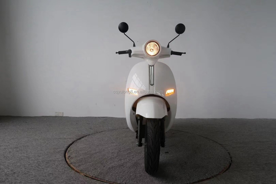最大負荷 200kg スポーツ 高性能 800W 20AH 電動自転車/電動スクーター バイク ストリートバイク