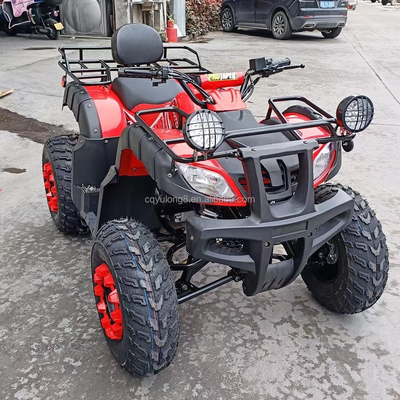 10インチタイヤサイズ カスタマイズされたロゴ 200cc 250cc ATV 成人4輪 UTVオフロードクワッドバイク