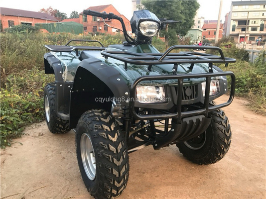 CE認定 200ccバランスバーエンジンバイク ATVクアッド 800Wモーターと60V電圧