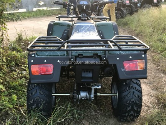 CE認定 200ccバランスバーエンジンバイク ATVクアッド 800Wモーターと60V電圧