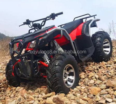 オートマティック 125ccチェーンドライブ アダルト 四輪オフロード マウンテンATV 屋外での楽しみ