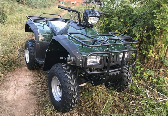 4x4 バギーモーターATV UTV 200cc 大人のための自動トランスミッションタイプ 最大速度80km/h