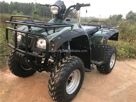 4x4 バギーモーターATV UTV 200cc 大人のための自動トランスミッションタイプ 最大速度80km/h
