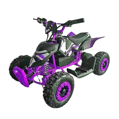 子供と大人のためのミニクアッドバギーATV 500Wのエキサイティングな発見