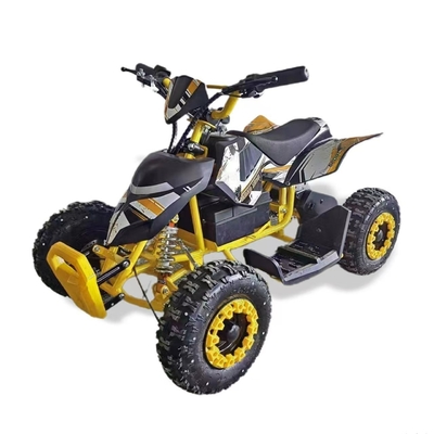 子供と大人のためのミニクアッドバギーATV 500Wのエキサイティングな発見