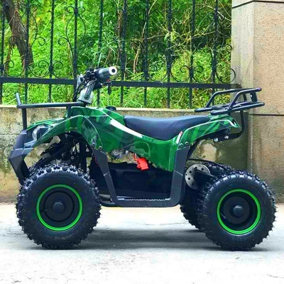 エレクトリックATV 800w ミニクワッドバイク 大人と子供のための 小さなオフロード 屋外スポーツカー