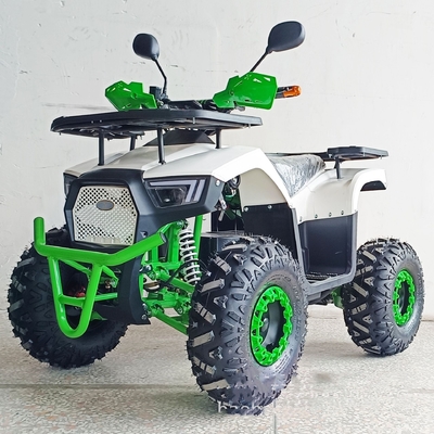 36V ミニ電動ATV アウトドアクワッド 子供と大人のための 800Wシャフトドライブオフロードバイク