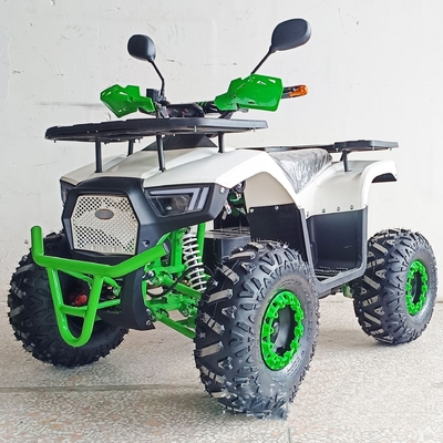 36V ミニ電動ATV アウトドアクワッド 子供と大人のための 800Wシャフトドライブオフロードバイク