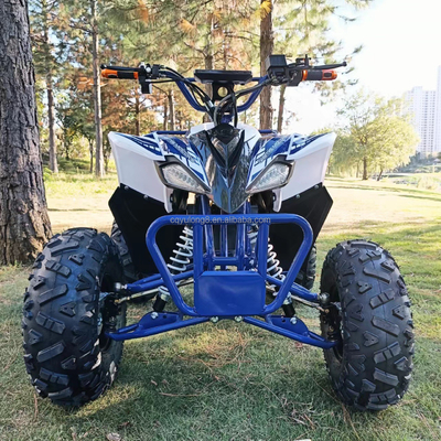 負荷容量 400-1000kg 便利な電気四輪自転車 800w ビーチ車両