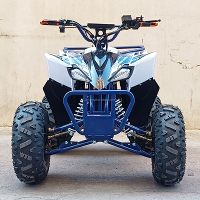 負荷容量 400-1000kg 便利な電気四輪自転車 800w ビーチ車両