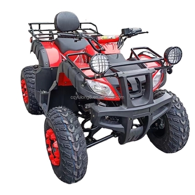150~200mm 離陸 200cc 250cc クアッドバイク バギー UTV オールテレプレン アドベンチャー