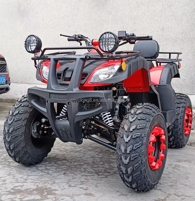 150~200mm 離陸 200cc 250cc クアッドバイク バギー UTV オールテレプレン アドベンチャー