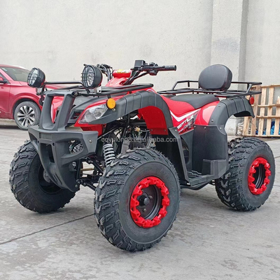 150~200mm 離陸 200cc 250cc クアッドバイク バギー UTV オールテレプレン アドベンチャー