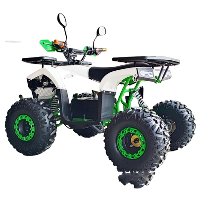400-1000kg 負荷容量 800W 1000W クアッドバイク エレクトリックATV 子供と大人のための