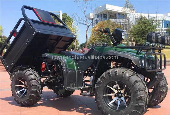 オフロード 四輪バイク 貨物 ATV UTV 100~200kgの積載容量