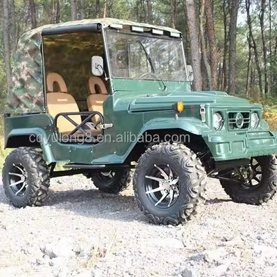 300cc 4輪UTV ガソリン2座UTV 4x4 バギーカーモトクワッドバイクオフロード車両 4x4ATV成人用