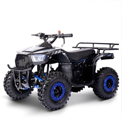 燃料電動ミニATV 49ccチェーンモーターパワー 2WDドライブ 子供の冒険