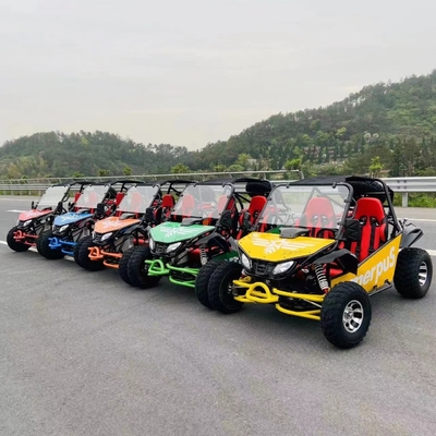 MOTO 200/250/300cc CVT UTV デューンバギー 成人の運転タイプ 切り替え可能 2WD/4WD MOTO