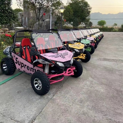 オフロード アドベンチャー ホット UTV 4x4 150cc 200cc 300cc ガソリンエンジン EEC証明書