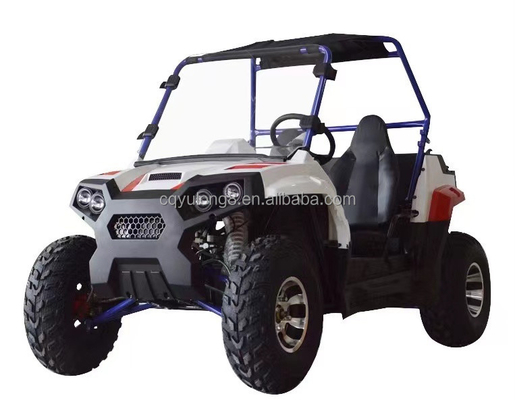 1シリンダー 1500W 2000W サイド・バイ・サイド・ファーム 電動UTV 2座席と差差ロック
