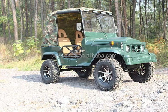 大人用2座 200cc 300cc シャフトトランスミッションシステム 2WD 四輪バギー 車 UTV 4x4 ジップ