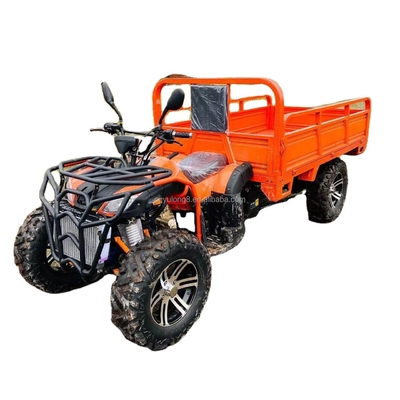 800 1000W 2シリンダー 水冷式ATV 250CC 4X4 貨物バケツ付きオフロードバギー