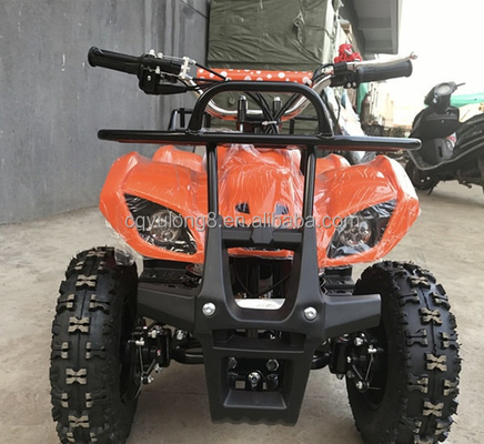 リトル・ブル 500W 36V エレクトリックATV 子供のレンタリングオフロードサファリ冒険