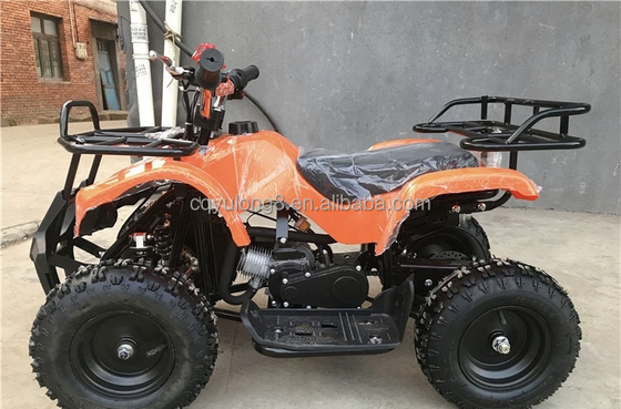 リトル・ブル 500W 36V エレクトリックATV 子供のレンタリングオフロードサファリ冒険
