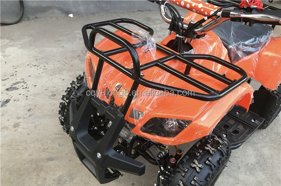 リトル・ブル 500W 36V エレクトリックATV 子供のレンタリングオフロードサファリ冒険