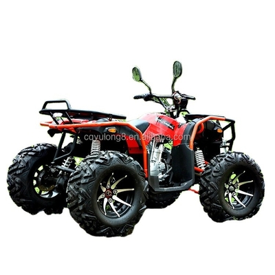 300mmの地面空白を持つ大人用オフロードATV