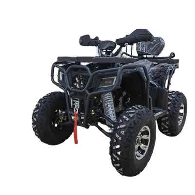 4WD ATV クワッドバイク バギー UTV ゴーカート 250CC 200-250mm 最小広さ