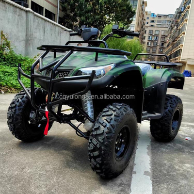 250cc 四筋四輪オフロードATV チェーンのドライブとカスタマイズ機能