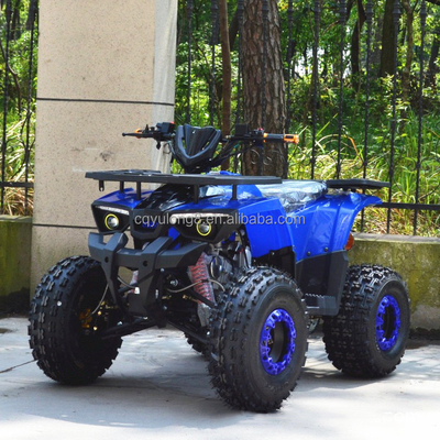 125cc/150cc 四輪ATV 4ストーク スポーツ運転用四輪車 4WD型